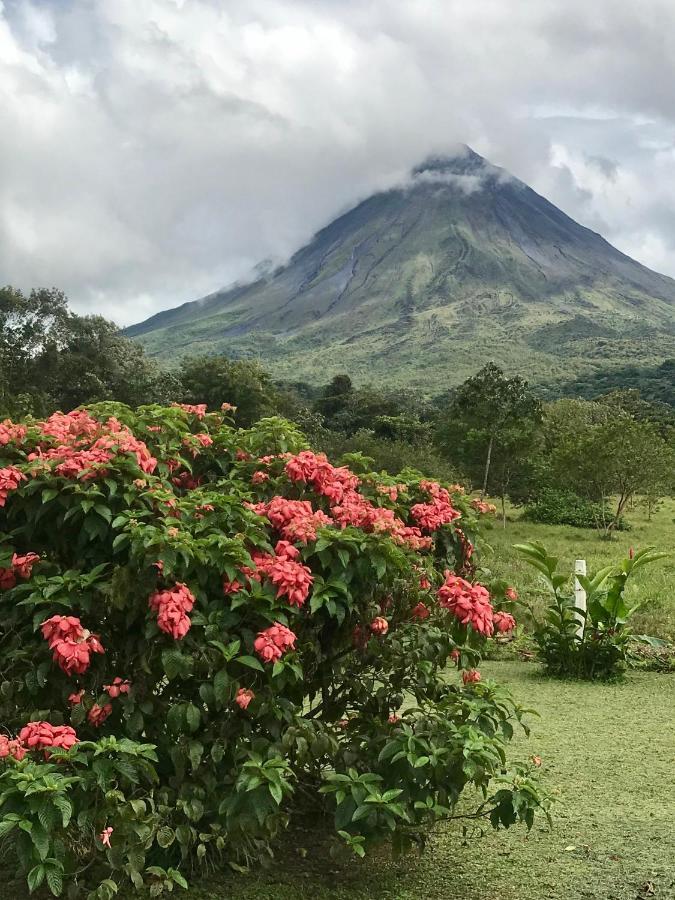 Arenal Roca Suites La Fortuna ภายนอก รูปภาพ