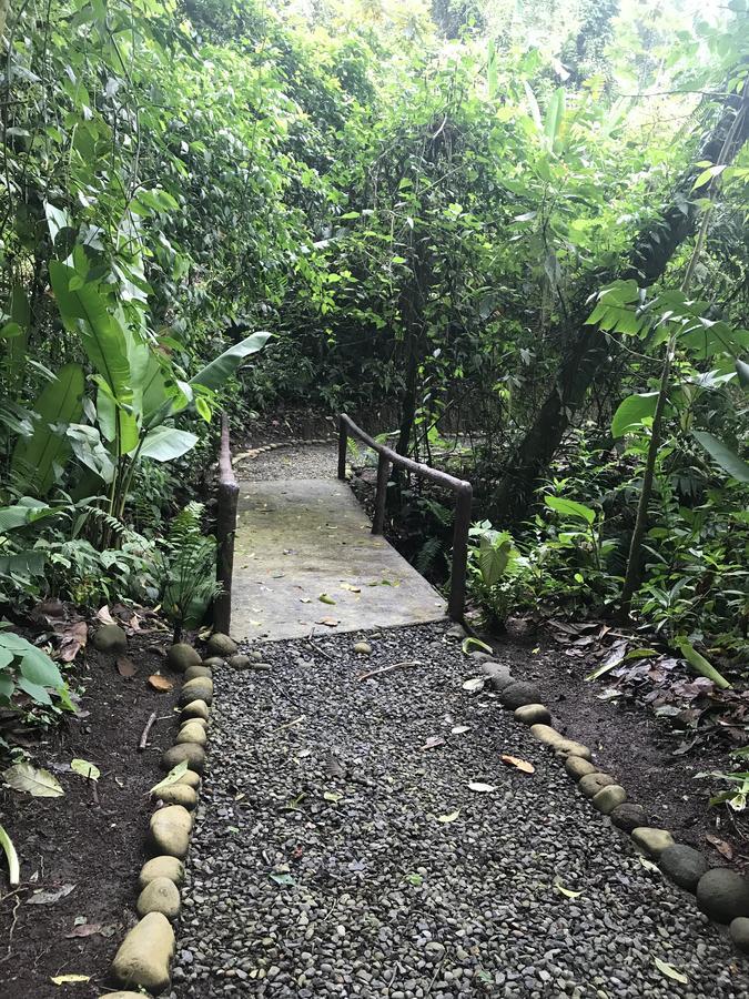 Arenal Roca Suites La Fortuna ภายนอก รูปภาพ